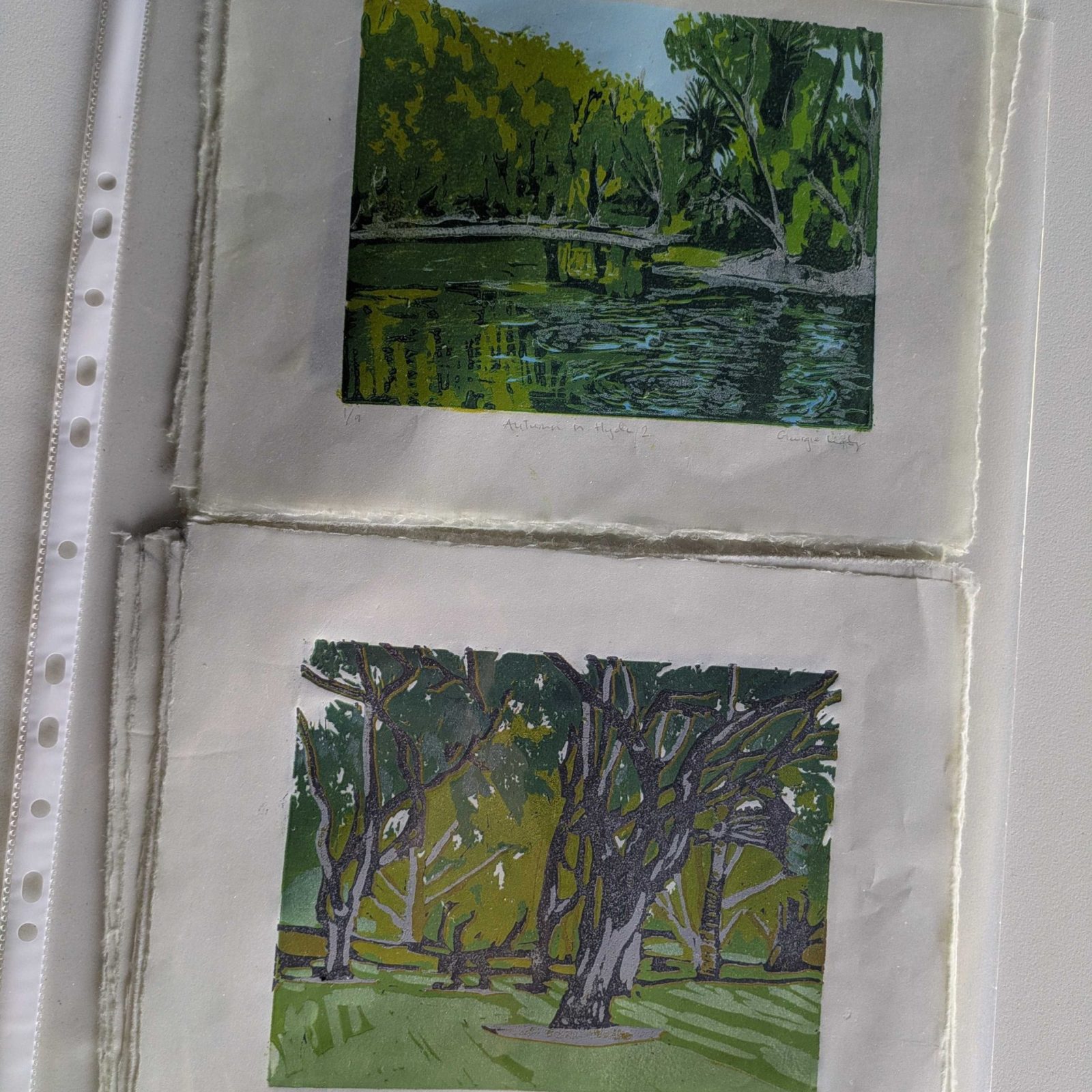 Hyde Park reduction prints